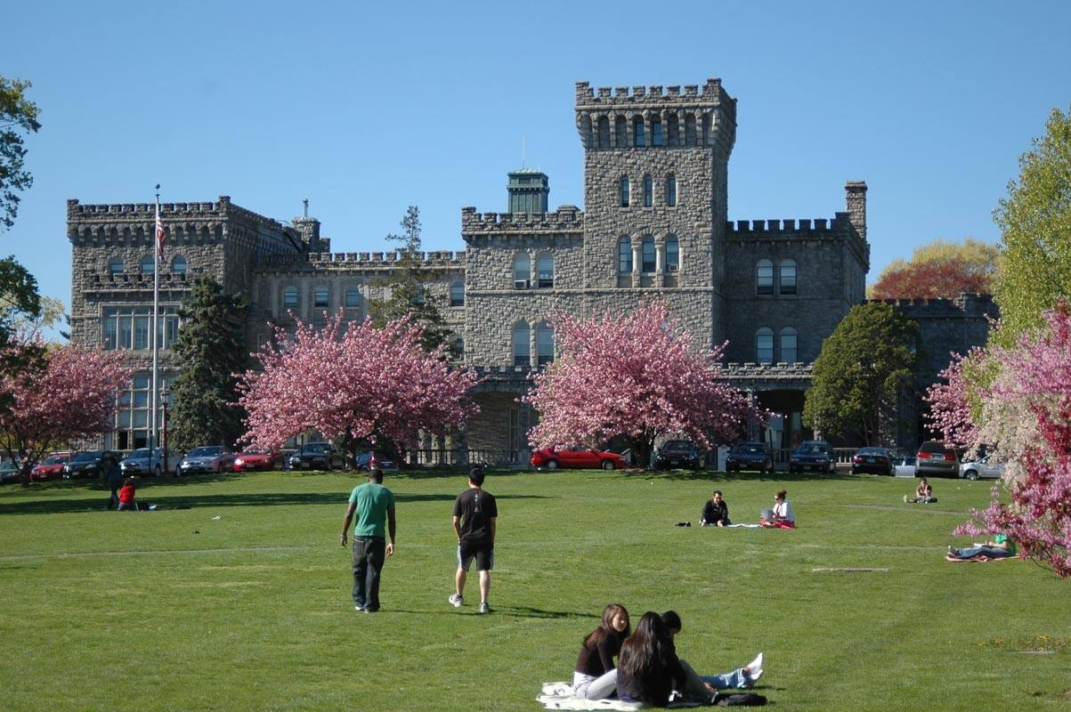 1571807415274843.jpg timg.jpg